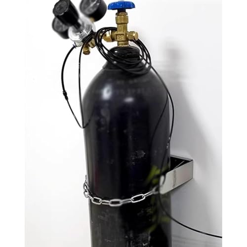 Chariot porte-bouteilles d'oxygène en acier robuste de 40 L