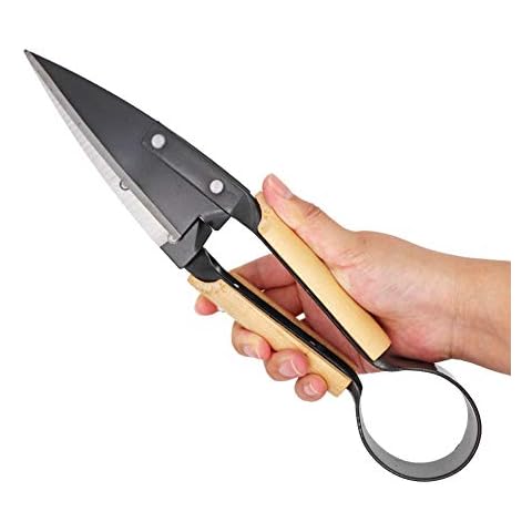 M.Z.A Topiary Shears Wool shears garden tools Grass Flowers Hedge Shear, Goat Sheep Cow Horse Rabbit Shear Wool Trimming Scissors Cover