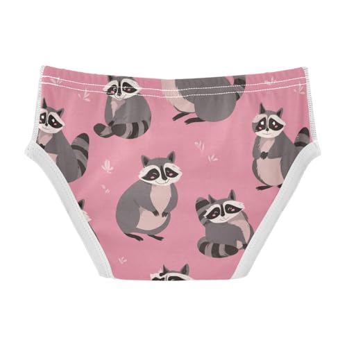Wusikd Funny Raccoons Boys' Underwear Cotton Boys Briefs Soft Toddler Underwear 2T2