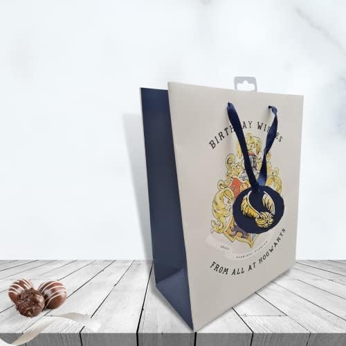 Danilo Promotions LTD Harry Potter Large Gift Bag HPG04, Birthday Gift Bag