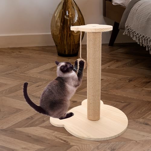 Rascador para gatos Beige con base de madera y sisal miniatura 4