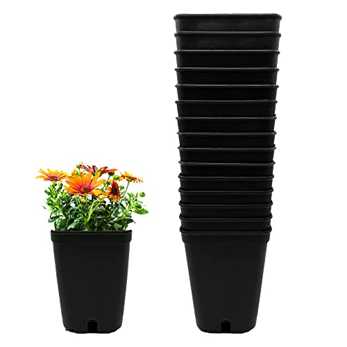 Murgiplast Pots carrés en plastique pour plantes et fleurs, pots de culture, conteneurs de plantation d'intérieur 1 litre, 10 x 10 x 14 cm, 15 unités