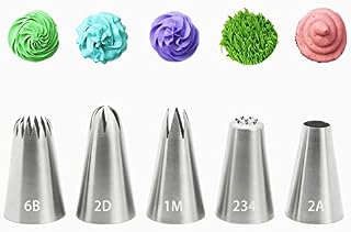 5 Pieces Piping Nozzles, Stainless Steel Icing Nozzles Large Piping Tips Cake Piping Nozzle for Cupcake Cookie Cream Decoration (1M 2A 2D 6B 234