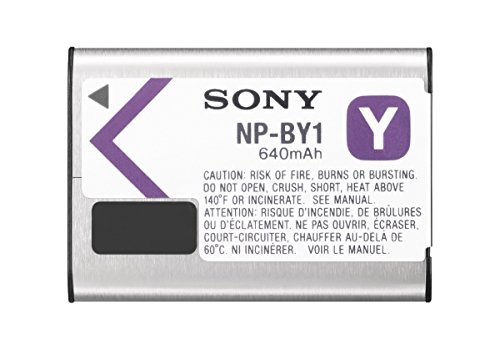 Sony Rechargeable Battery Pack (Silver) #TOP5