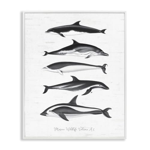 Orca Whales Diagram Grainy Pattern, 16 x 20 Inch Framed Giclée Print
