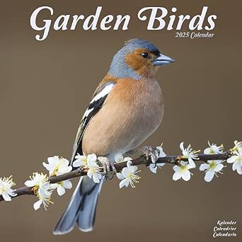 Amazon | Garden Birds Calendar 2025 Square Birds Wall Calendar - 16 ...