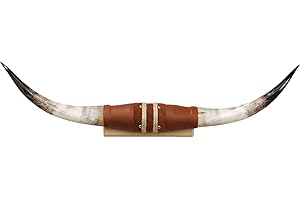 Authentic Steer Horns for the Bold and Adventurous