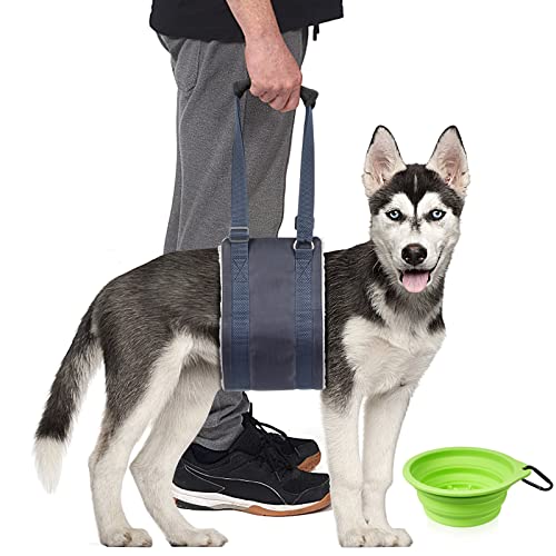 Ateson Dog Lift Harness, Dog Sling For Dogs Hind Leg Support - Dog Support Harness For Back Legs With Dog Bowl Pet Collapsible Bowls #TOP7