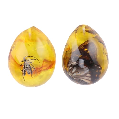 CIYODO 2pcs Amber Insect Natural Amber