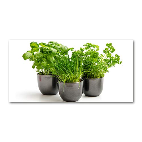 Crédence de cuisine verre trempé Tulup fond de hotte splashback 100x50cm vert herbes