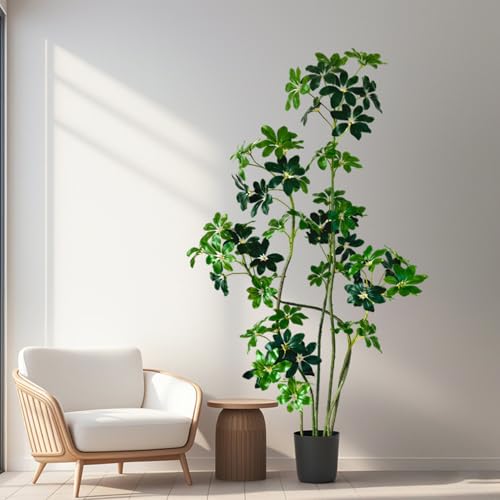 [LJKI] ^tFCNO[ xW~  sv QSzȂ rO   O 205cm lHϗtA  A A lH ȒP L R 傫 { Vzj p jp ItB