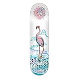 Santa Cruz Skateboard Deck McCoy Flamingo VX 8.25in x 31.83in SCR-SKD-2423