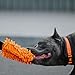 Dingo Hundespielzeug Mop 19 x 7 cm mit Bungee Griff 41 cm Agility Apporte Motivation Spiel mit Hund Training Orange 15673