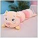 ZHPNG Peluche di Maiale Cuscino Giocattolo del Cuscino di Maiale Paffuto Super Soft Piggy Cuscini Cuscini Animali Realistici Cuscino di papà Maiale Peluche Regalo di Universale,A-60CM