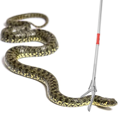 ֕ߊlgO,XeX ܂肽ݎ S~ | S~W Oo[ sbNAbv c[ | z[I[i[ K[fi[  쐶 VF^[ Lv s K[f p[N sNjbN nCLOp