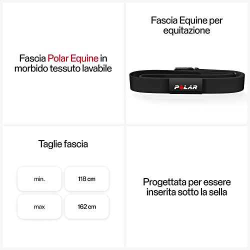Polar Equine H10 for trotters Cardiofrequenzimetro con Fascia, Nero - 2