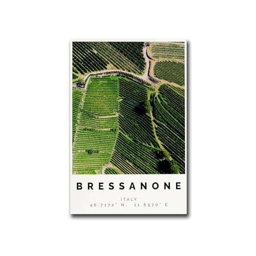 LoXEH[A[g|X^[Bressanone|X^[JtvgubTm[lEH[A[gubTm[lʐ^TrentinoSouth Tyroltravel|X^[oX[ƃgCʏǑ30.5x45.72cmؐt[