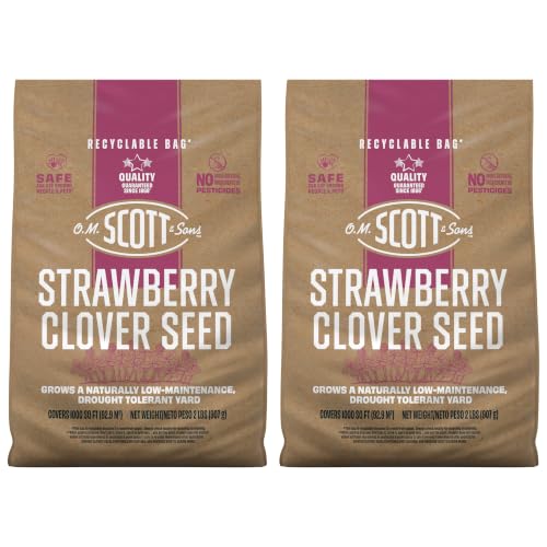 Image of O.M. Scott & Sons Strawberry Clover Seed, 2 lbs. (2-Pack)