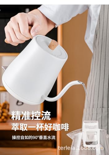 Bouilloire kung fu à long bec pour infuser le thé à température idéale