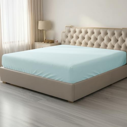 HBHLFZ Queen Fitted Sheet Only, Soft Breathable Bottom Sheet - 60"x80" Deep Pockets Queen Size Fitted Sheet - All Around Stretch Fit, Wrinkle Resistant, Colorfast - Easy Care, Light Blue