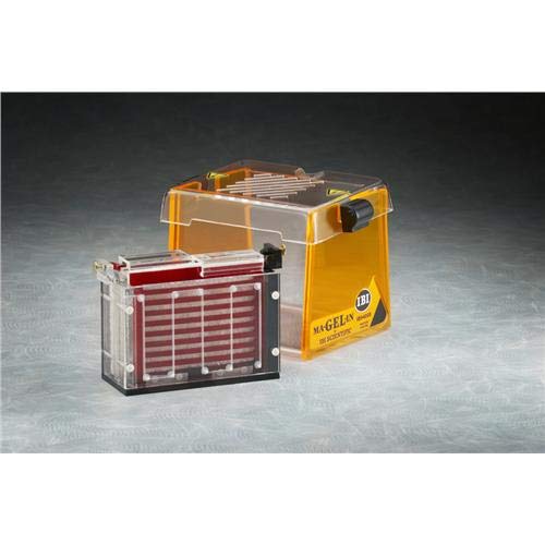 IB94500 Western Transfer Electrophoresis 10cm L x 10cm W Gel Size, 16cm Length x 15cm Width x 13.3cm Height