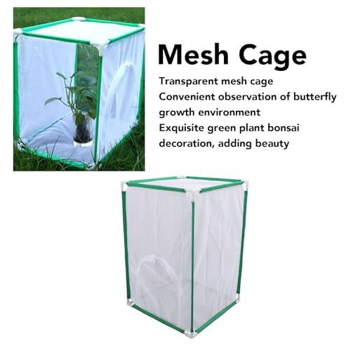 Enceinte de maillage de cage habitat de papillon rigide et transparente - 3