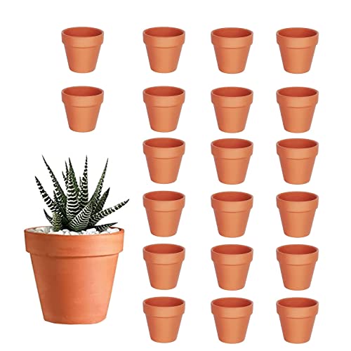 HDKAJL 20 Mini Macetas para Flores de Terracota, con Necesidad de Drenaje, para Casas de Cactus y Suculentes Enteras (3.5x3 cm)