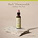 Bach Original Flower Remedies, Honeysuckle - Embrace The Now - Natural Homeopathic Flower Essence for Emotional Balance - Vegan, Gluten Free, Sugar Free - 20mL Dropper