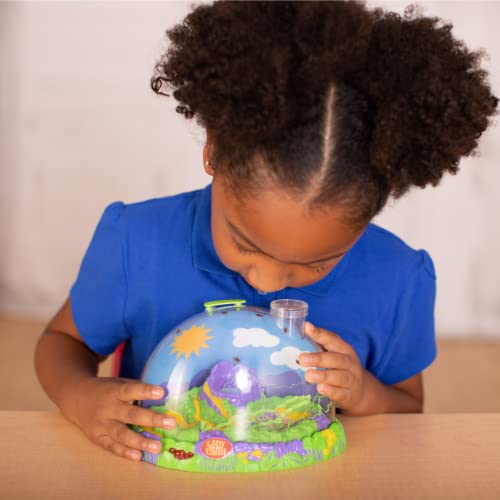 Insect Lore Ladybug Land | Ladybug Growing Kit Habitat | Redeem Voucher For Live Ladybug Larvae - Image 5
