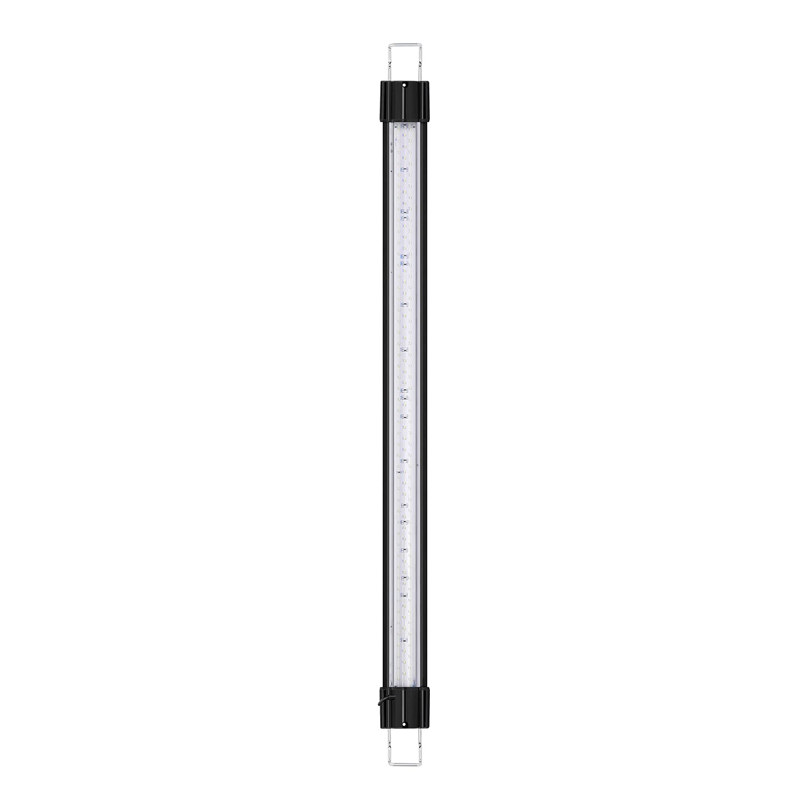 Zolux Rampa LED per terrario, Tartarughe di Terra, Misura 2
