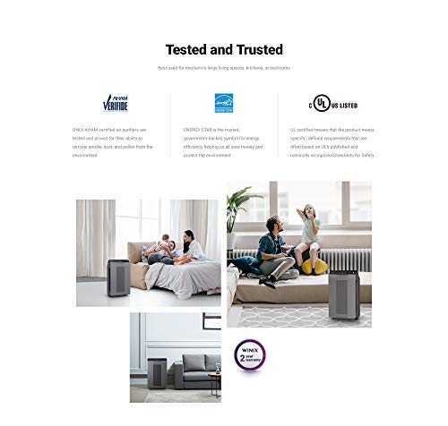 Winix 5300-2 Air Purifier with True HEPA, PlasmaWave and Odor Reducing Carbon Filter,Gray