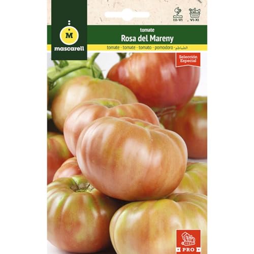 Mascarell Semillas, TOMATE, Semillas Huerto, TOMATE ROSA DEL MARENY, Crea tu Propio Huerto Urbano y Cultivo en Casa, Plantas Hortícolas, 0,1 Gramos
