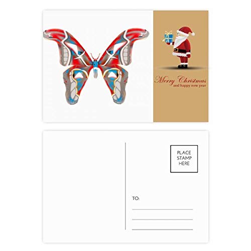 Cartes postales 3D papillons à offrir en cadeau de remerciement pour proches et amis