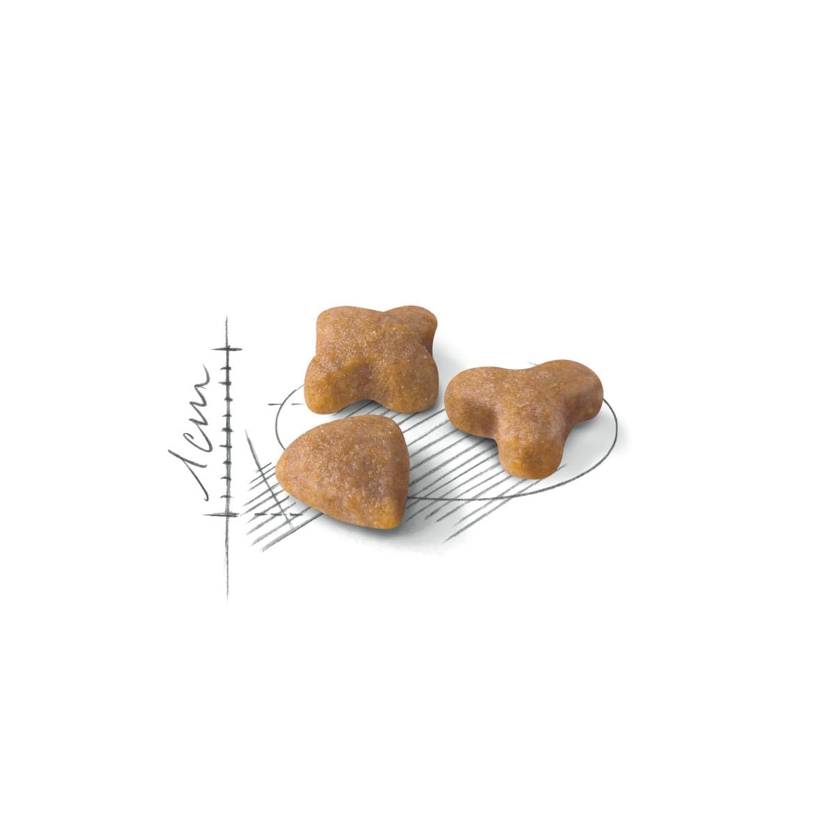 Amazon | ロイヤルカナン FHN センシブル 4Kg | ロイヤルカナン