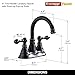 Derengge Bathroom Faucets, Centerset Lavatory Sink Faucet with 2 Handle, 3 Hole, Overflow Pop Up Drain & 4 Inch 360° Swivel Spout, F-4501-NB (Oil Rubbed Bronze)