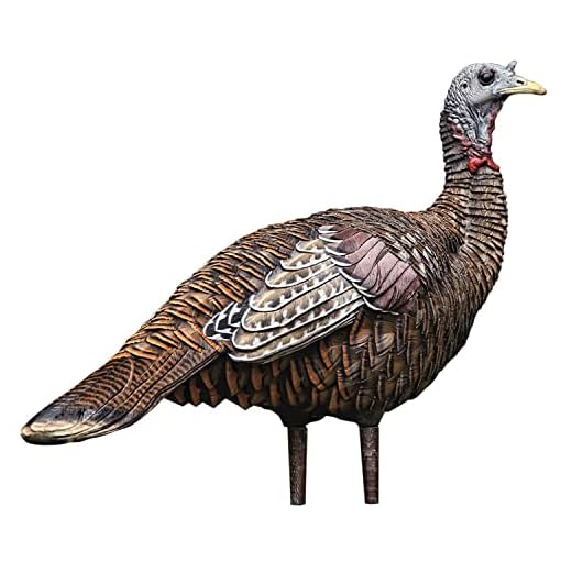 AVIAN-X LCD Lookout Hen Turkey Decoy | Durable Realistic Lifelike Collapsible Standing Hunting Decoy with Carry Bag & Stake, AVX8006