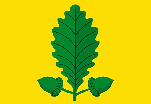 Drapeau Heusden-Zolder grand format indéchirable face au vent fort
