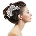 EVER FAITH Bridal Silver-Tone Flower Bumble Bee Hair Comb Clear Austrian Crystal