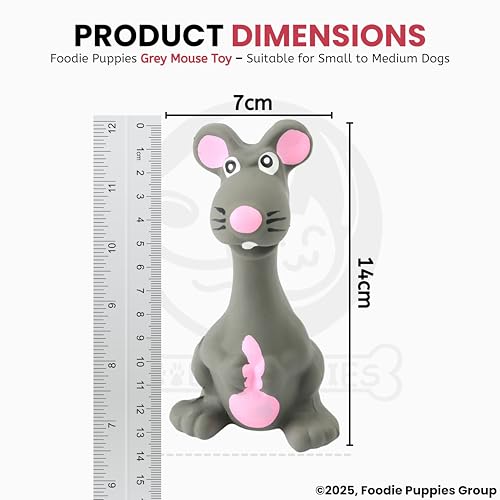 Image of Foodie Puppies Squeaky Latex Dog Toy for Small Dogs & Puppies | Grey Mouse Shape | Durable, Soft & Safe | Fun Chew, Fetch & Play Toy | 14cm | Interactive Animal Design with Cotton Filling