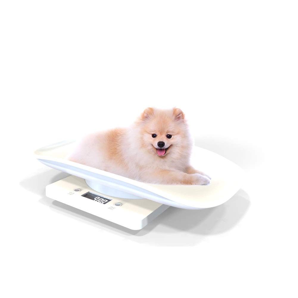Mini-Haustierwaage, 10 kg, digitale elektronische Waage, Küchenwaage mit Tablett, Postwaage, Lebensmittelwaage