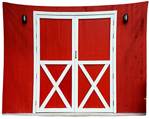 Tapisserie de porte de grange CORFOTO pour réchauffer un mur blanc de salon