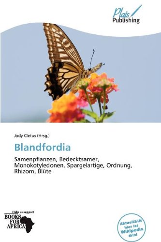 Blandfordia: Samenpflanzen, Bedecktsamer, Monokotyledonen, Spargelartige, Ordnung, Rhizom, Blüte