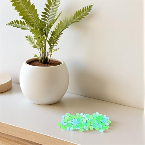 Galets phosphorescents étanches en résine pour aquarium et plantes - 6