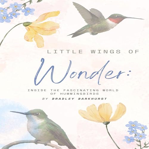 Page de couverture de Little Wings of Wonder