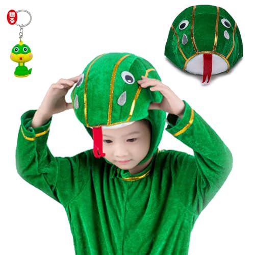 [VIYUFENST] wr 蕨 N  Xq nEB wr Ԃ ւ Lbv   Aj}nbg 2025N x CN   NX}X nEB RXv  ʂ Aj}Xq g h V