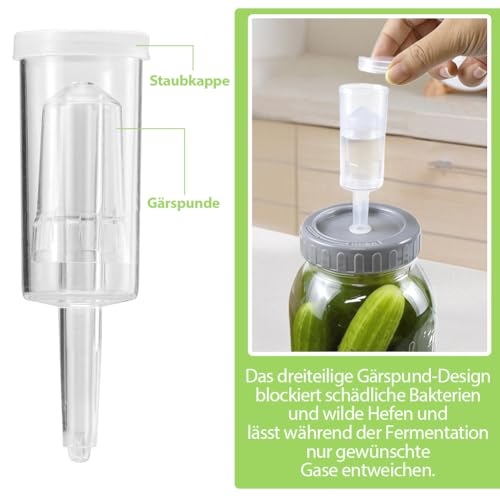 Bocal de fermentation Kimchi pour vos recettes saines maison