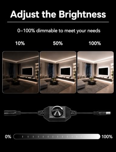 Image of Neon Rope Lights, Dimmable LED Strip Light, Cool White, 50ft