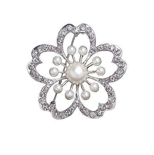 Coollooda u[` ANZT[ RT[W p[u[` p[  Zj[ tH[} WG[ Ǝ w    fB[X C s v[g i rWlX