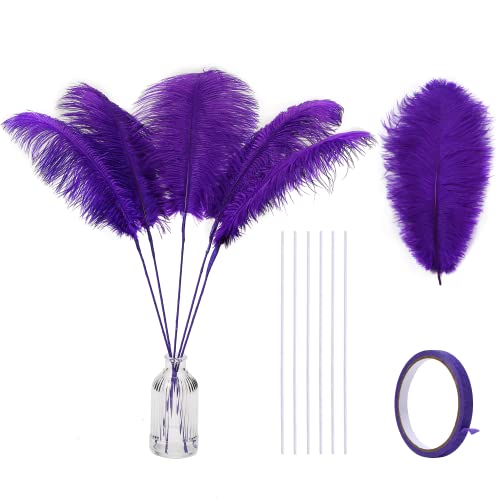 Holmgren Purple Large Ostrich Feather - 20pcs Making Kit 22 Inch Large Ostrich Feathersfor Crafts Floral Arrangement Wedding Party Centerpieces Home Decorations (Purple)