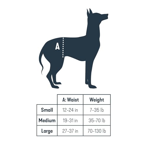 PetSafe Carelift, hinteres Unterstützungsgeschirr, Hebehilfe mit Griff und Schultergurt, geeignet für behinderte oder ältere Hunde, komfortabel, atmungsaktiv, einfach verstellbar, L